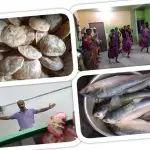 Sundarban Hilsa Festival