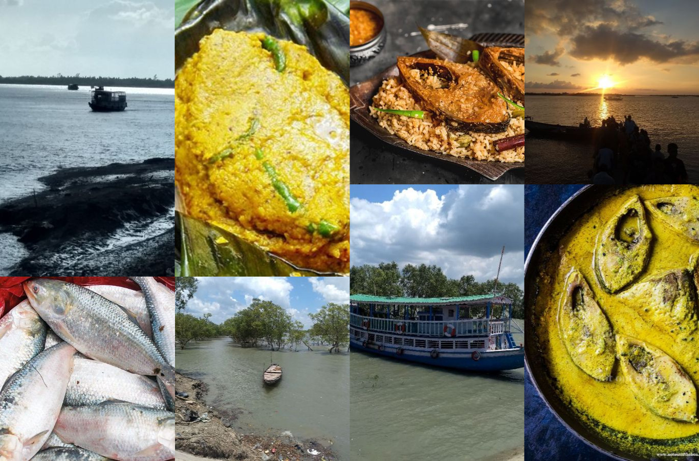 Sundarban Ilish Utsav